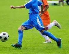 揭秘哈兰德,的独特魅力,瓜迪奥拉坦,KaiBao,Sports,开宝体育,体育直播,体育赛事,APP下载,官方网地址